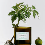 Roma Heirloom Tomato Candle