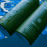 Rosemary & Ionian Bergamot Shampoo