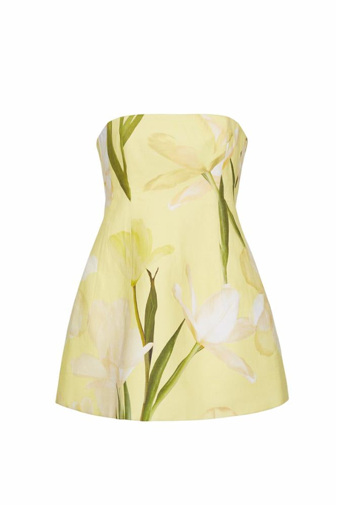 Ines Mini Dress Lillian Lemon