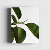 Green Home Book
