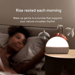 Hatch Restore 2 Sunrise Alarm Clock Slate