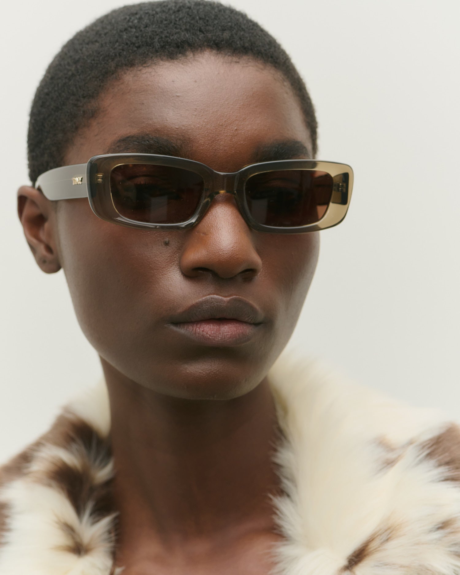 Preston Sunglasses Transparent Olive
