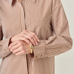 Stripe Collar Flared Skirt Dress Brown