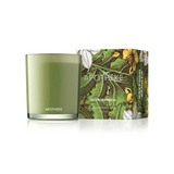 Apotheke Saffron Vanilla Classic Candle