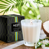 NEST Coconut & Palm Classic Candle