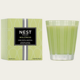 NEST Lime Zest & Matcha Classic Candle