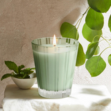 NEST Wild Mint & Eucalyptus Classic Candle