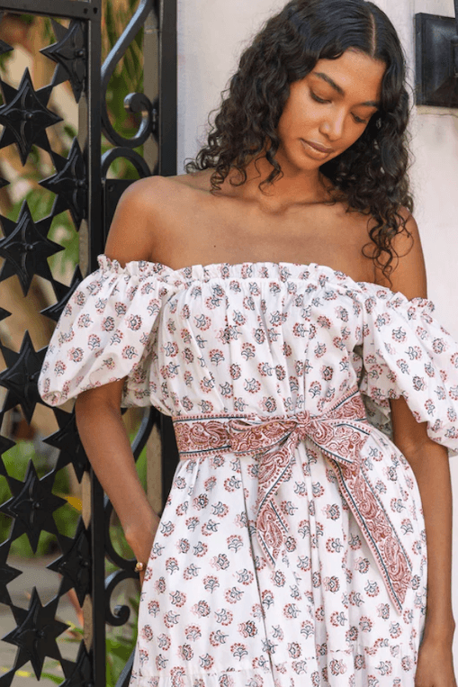 elisa midi dress Elisa Floral Velvet Midi Dress