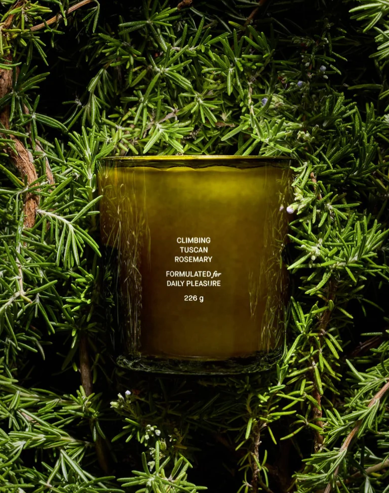 Climbing Tuscan Rosemary Candle