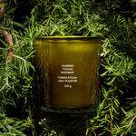 Climbing Tuscan Rosemary Candle