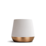 Joey Double Wall Ceramic Mugs: Matte White / Big Jo 12 oz