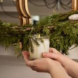 Fraiser Fir 6.5oz Pine Needle Candle