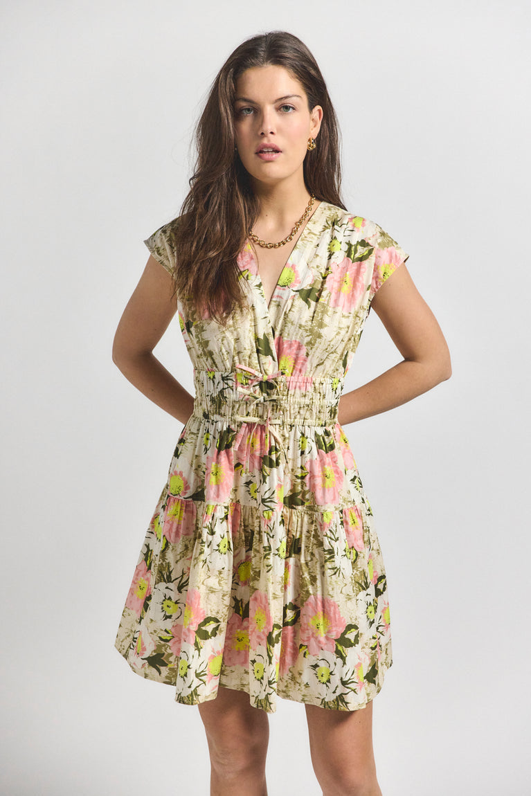 Tora V-Neck Dress Safari Multi